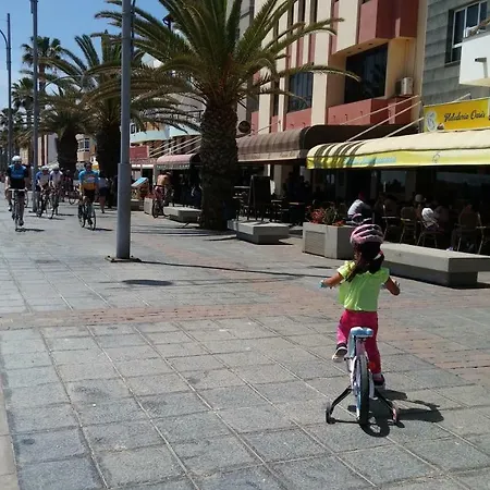 El Aceitun Homes דירה