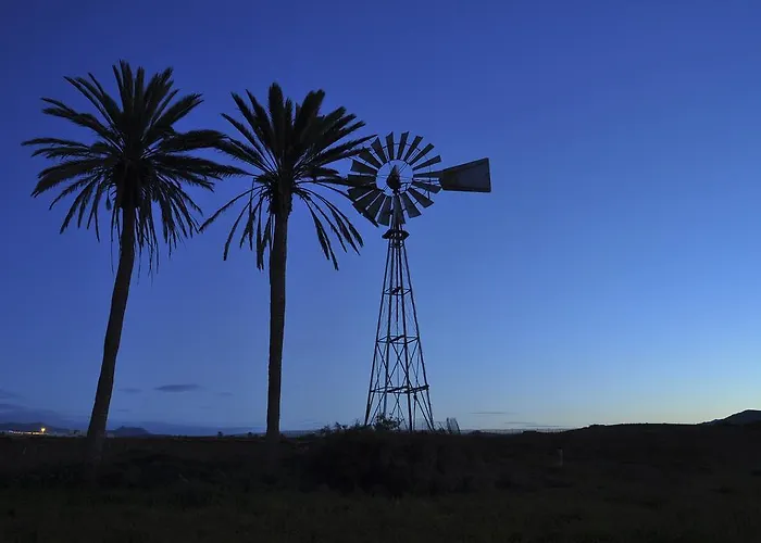 דירה El Aceitun Homes