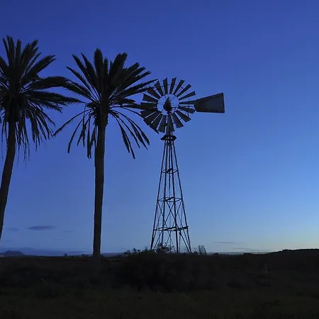 Daire El Aceitun Homes