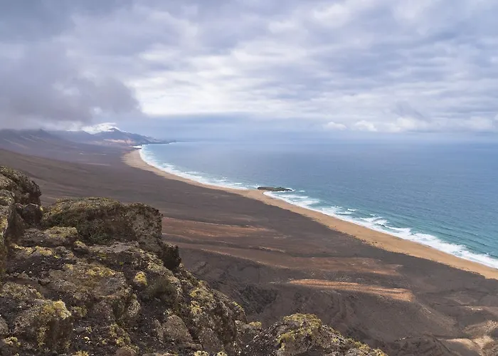 El Aceitun Homes Apartamento *