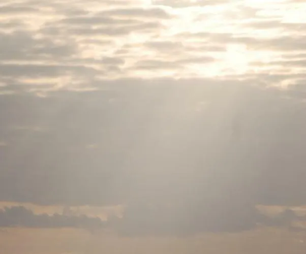 El Aceitun Homes 公寓 格兰塔拉雅